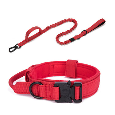 Dog Heaven™ Heavy Duty Collar & Bungee Leash